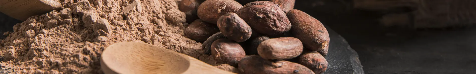 Cocoa